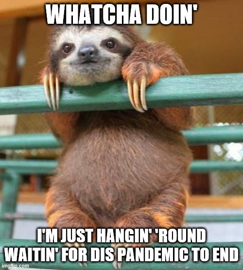 dont go hangin out, just hang round |  WHATCHA DOIN'; I'M JUST HANGIN' 'ROUND WAITIN' FOR DIS PANDEMIC TO END | image tagged in cute sloth,sloth,cute,coronavirus,hanging | made w/ Imgflip meme maker