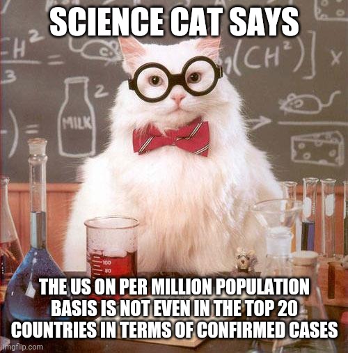 Science Cat | SCIENCE CAT SAYS THE US ON PER MILLION POPULATION BASIS IS NOT EVEN IN THE TOP 20 COUNTRIES IN TERMS OF CONFIRMED CASES | image tagged in science cat | made w/ Imgflip meme maker
