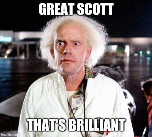 Brilliant | GREAT SCOTT THAT'S BRILLIANT | image tagged in brilliant | made w/ Imgflip meme maker