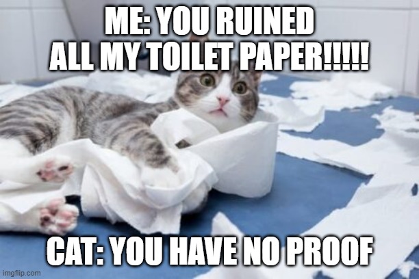 ME: YOU RUINED ALL MY TOILET PAPER!!!!! CAT: YOU HAVE NO PROOF | made w/ Imgflip meme maker