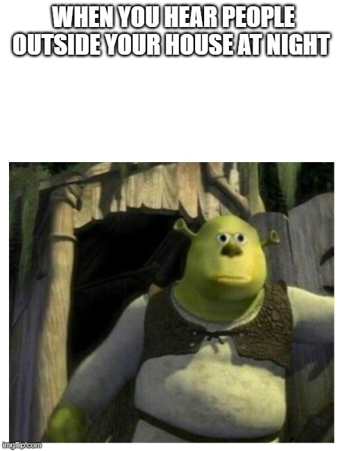 WHEN YOU HEAR PEOPLE OUTSIDE YOUR HOUSE AT NIGHT | image tagged in shrek | made w/ Imgflip meme maker
