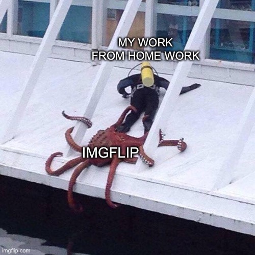 MY WORK FROM HOME WORK; IMGFLIP | image tagged in imgflip,memes,funny,true story | made w/ Imgflip meme maker