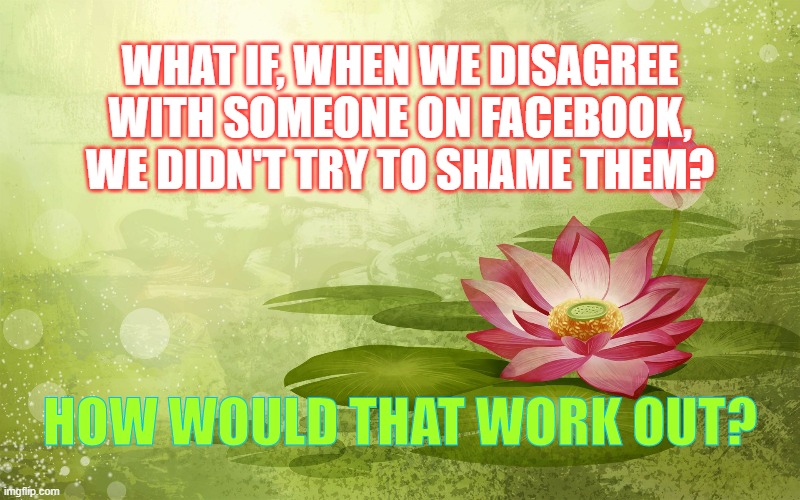 Peace | WHAT IF, WHEN WE DISAGREE WITH SOMEONE ON FACEBOOK, WE DIDN'T TRY TO SHAME THEM? HOW WOULD THAT WORK OUT? | image tagged in peace | made w/ Imgflip meme maker