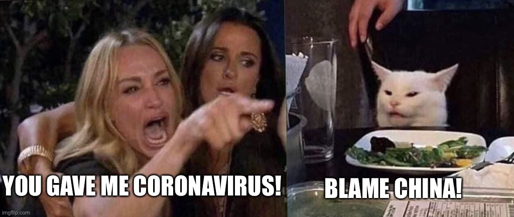 woman yelling at cat | BLAME CHINA! YOU GAVE ME CORONAVIRUS! | image tagged in woman yelling at cat,coronavirus,blame,china | made w/ Imgflip meme maker