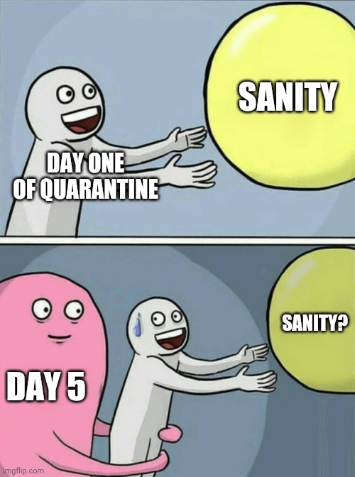 Sanity? | SANITY; DAY ONE OF QUARANTINE; SANITY? DAY 5 | image tagged in quarantine,sanity,coronavirus,corona virus,covid-19 | made w/ Imgflip meme maker