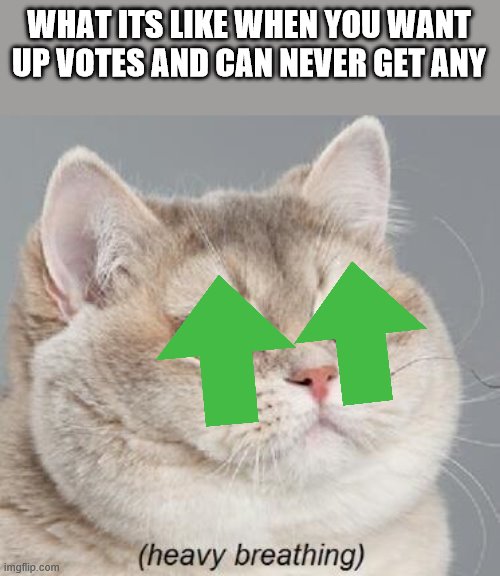 Heavy Breathing Cat | WHAT ITS LIKE WHEN YOU WANT UP VOTES AND CAN NEVER GET ANY | image tagged in memes,heavy breathing cat | made w/ Imgflip meme maker