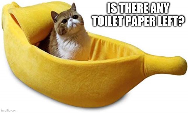 Banana Cat | IS THERE ANY TOILET PAPER LEFT? | image tagged in banana cat | made w/ Imgflip meme maker