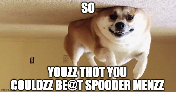 Sp00DeRd0gE | SO; YOUZZ TH0T Y0U COULDZZ BE@T SPOODER MENZZ | image tagged in doge | made w/ Imgflip meme maker