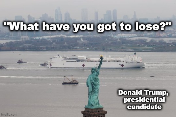 What have you got to lose? | "What have you got to lose?"; Donald Trump, 
presidential candidate | image tagged in trump,coronavirus,trump lies | made w/ Imgflip meme maker