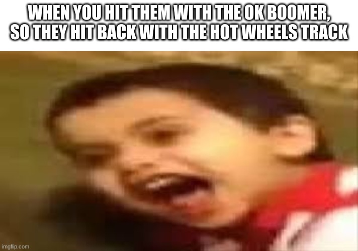 WHEN YOU HIT THEM WITH THE OK BOOMER, SO THEY HIT BACK WITH THE HOT WHEELS TRACK | made w/ Imgflip meme maker