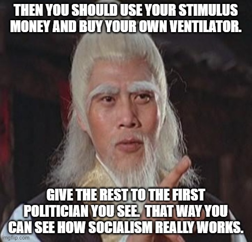 Wise Kung Fu Master | THEN YOU SHOULD USE YOUR STIMULUS MONEY AND BUY YOUR OWN VENTILATOR. GIVE THE REST TO THE FIRST POLITICIAN YOU SEE.  THAT WAY YOU CAN SEE HO | image tagged in wise kung fu master | made w/ Imgflip meme maker