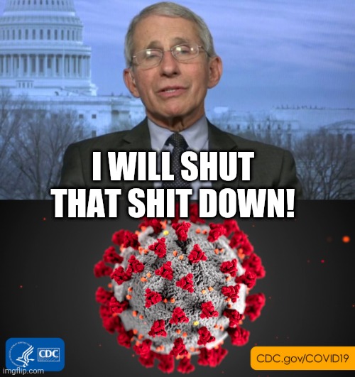 Shut it down | I WILL SHUT THAT SHIT DOWN! | image tagged in coronavirus | made w/ Imgflip meme maker