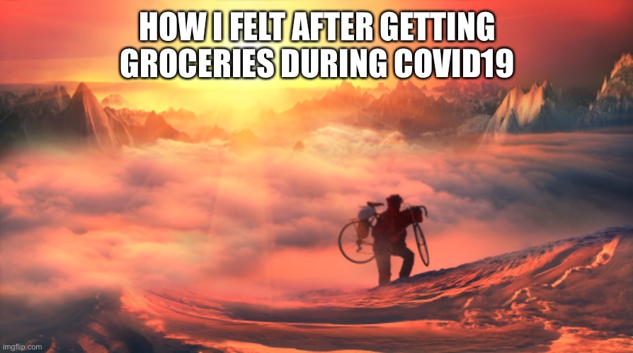 HOW I FELT AFTER GETTING GROCERIES DURING COVID19 | image tagged in covid-19,groceries,epic adventure | made w/ Imgflip meme maker
