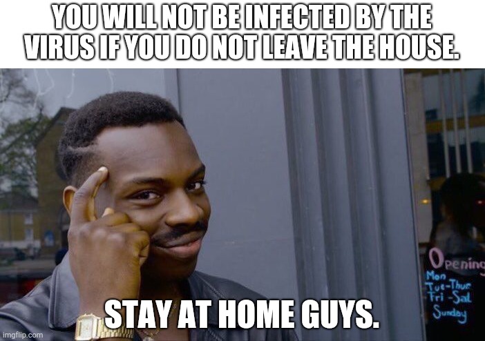 Roll Safe Think About It | YOU WILL NOT BE INFECTED BY THE VIRUS IF YOU DO NOT LEAVE THE HOUSE. STAY AT HOME GUYS. | image tagged in memes,roll safe think about it | made w/ Imgflip meme maker