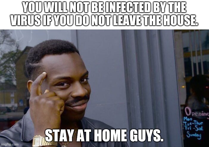 Roll Safe Think About It Meme | YOU WILL NOT BE INFECTED BY THE VIRUS IF YOU DO NOT LEAVE THE HOUSE. STAY AT HOME GUYS. | image tagged in memes,roll safe think about it | made w/ Imgflip meme maker
