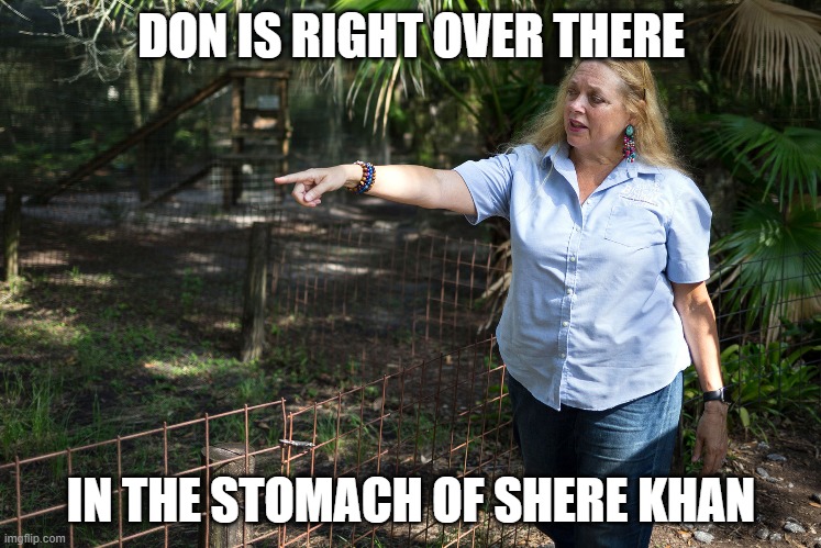 Carol Baskin | DON IS RIGHT OVER THERE; IN THE STOMACH OF SHERE KHAN | image tagged in carol baskin | made w/ Imgflip meme maker