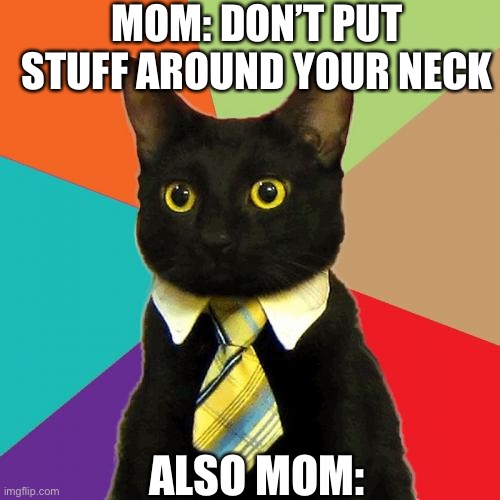 Business Cat Meme |  MOM: DON’T PUT STUFF AROUND YOUR NECK; ALSO MOM: | image tagged in memes,business cat | made w/ Imgflip meme maker