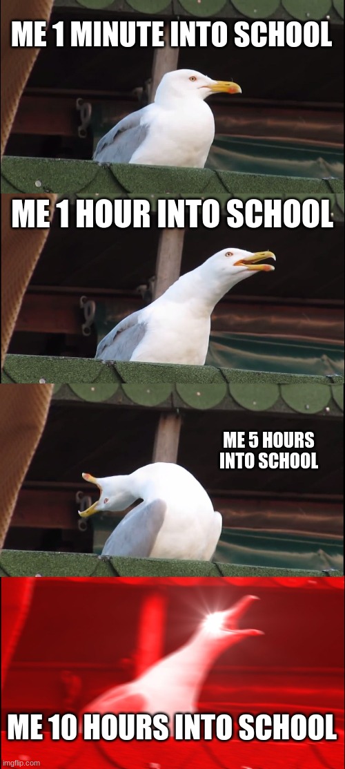 Inhaling Seagull | ME 1 MINUTE INTO SCHOOL; ME 1 HOUR INTO SCHOOL; ME 5 HOURS INTO SCHOOL; ME 10 HOURS INTO SCHOOL | image tagged in memes,inhaling seagull | made w/ Imgflip meme maker