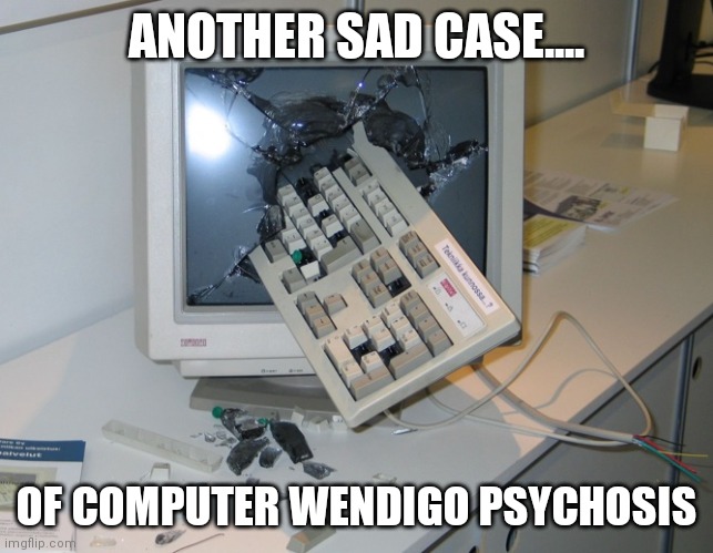 Now that's what I call a problem! | ANOTHER SAD CASE.... OF COMPUTER WENDIGO PSYCHOSIS | image tagged in smashed computer | made w/ Imgflip meme maker