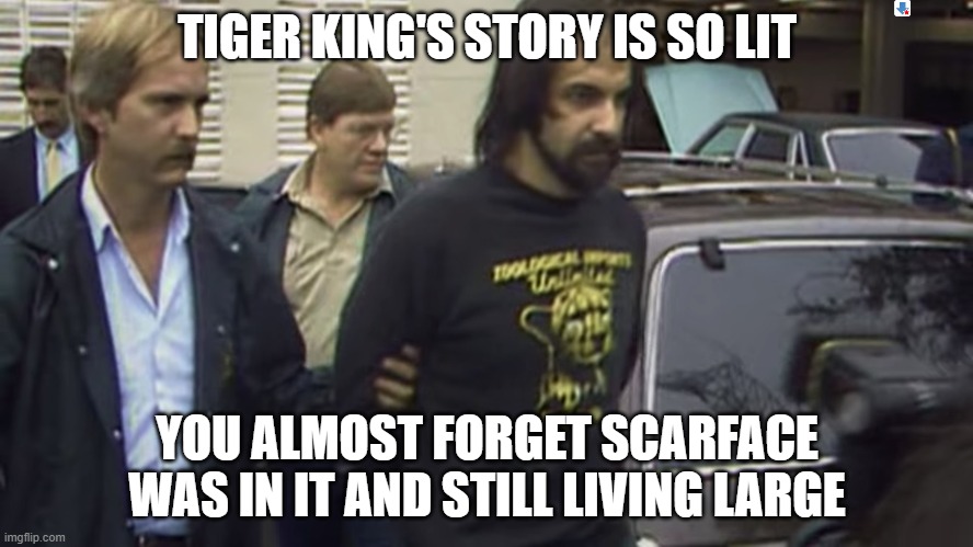 Mario Scarface was the most normal one, and he had a body chopped up on his property! | TIGER KING'S STORY IS SO LIT; YOU ALMOST FORGET SCARFACE WAS IN IT AND STILL LIVING LARGE | image tagged in tiger king meme,tiger king | made w/ Imgflip meme maker