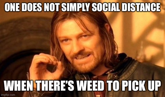 One Does Not Simply | ONE DOES NOT SIMPLY SOCIAL DISTANCE; WHEN THERE’S WEED TO PICK UP | image tagged in memes,one does not simply | made w/ Imgflip meme maker