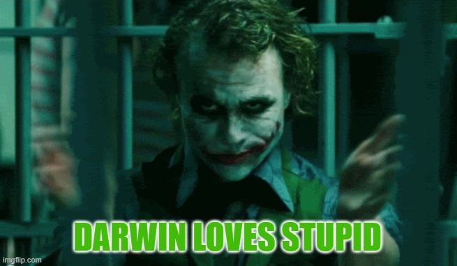 Darwin Loves Stupid | DARWIN LOVES STUPID | image tagged in joker,darwin,stupidity | made w/ Imgflip meme maker