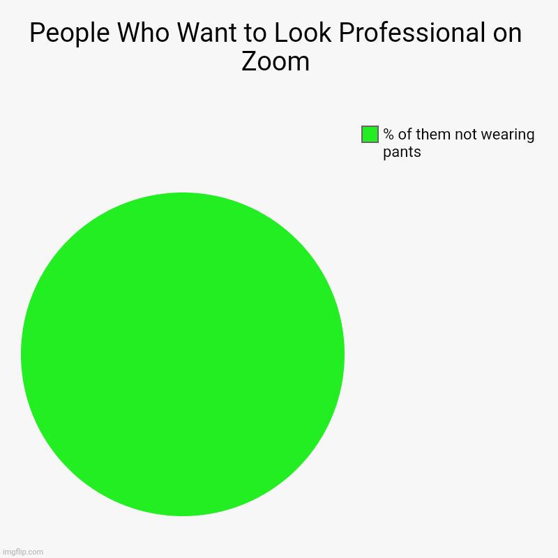 People Who Want to Look Professional on Zoom | % of them not wearing pants | image tagged in charts,pie charts | made w/ Imgflip chart maker
