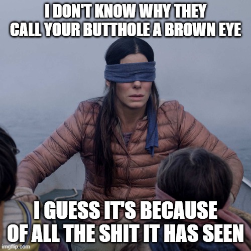 Bird Box Meme | I DON'T KNOW WHY THEY CALL YOUR BUTTHOLE A BROWN EYE; I GUESS IT'S BECAUSE OF ALL THE SHIT IT HAS SEEN | image tagged in memes,bird box,lmao,funny,funny memes | made w/ Imgflip meme maker