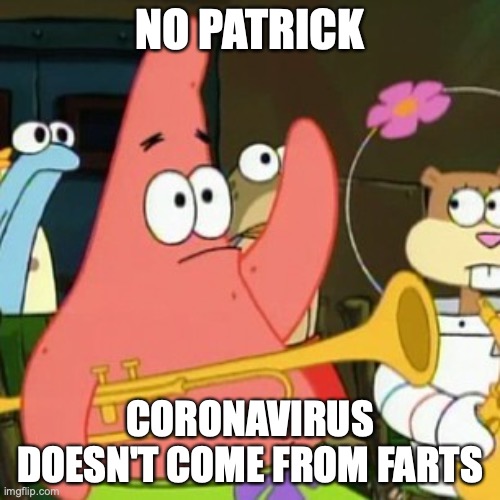 No Patrick Meme | NO PATRICK; CORONAVIRUS DOESN'T COME FROM FARTS | image tagged in memes,no patrick | made w/ Imgflip meme maker