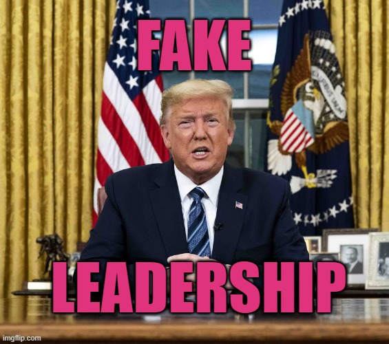 Trump: Fake Leadership | FAKE; LEADERSHIP | image tagged in trump,president trump,fake | made w/ Imgflip meme maker
