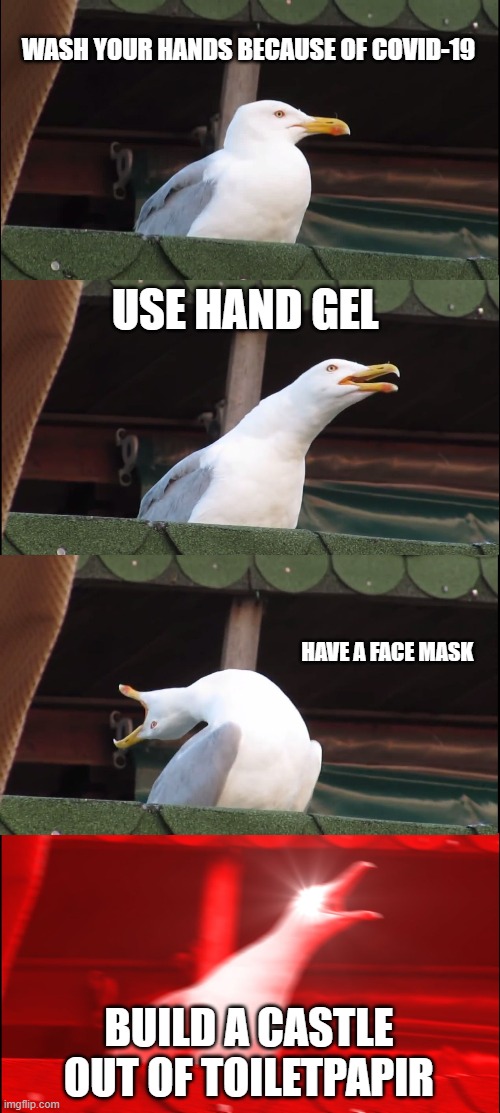 Inhaling Seagull | WASH YOUR HANDS BECAUSE OF COVID-19; USE HAND GEL; HAVE A FACE MASK; BUILD A CASTLE OUT OF TOILETPAPIR | image tagged in memes,inhaling seagull | made w/ Imgflip meme maker
