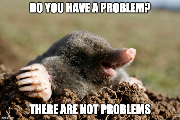 how are you, my friend? | DO YOU HAVE A PROBLEM? THERE ARE NOT PROBLEMS | image tagged in mole,happiness,hello | made w/ Imgflip meme maker
