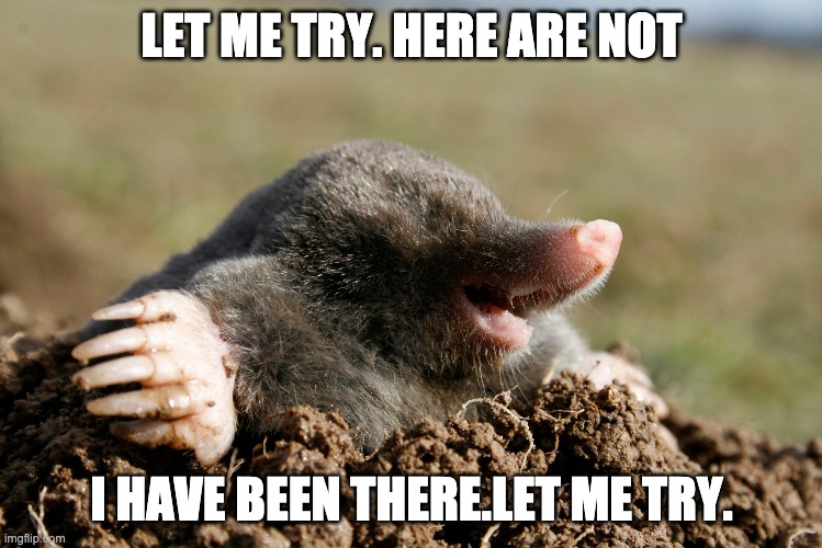 isn't it. maybe yes. | LET ME TRY. HERE ARE NOT; I HAVE BEEN THERE.LET ME TRY. | image tagged in mole,happiness,hello | made w/ Imgflip meme maker