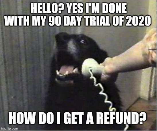 Yes this is dog | HELLO? YES I'M DONE WITH MY 90 DAY TRIAL OF 2020; HOW DO I GET A REFUND? | image tagged in yes this is dog | made w/ Imgflip meme maker