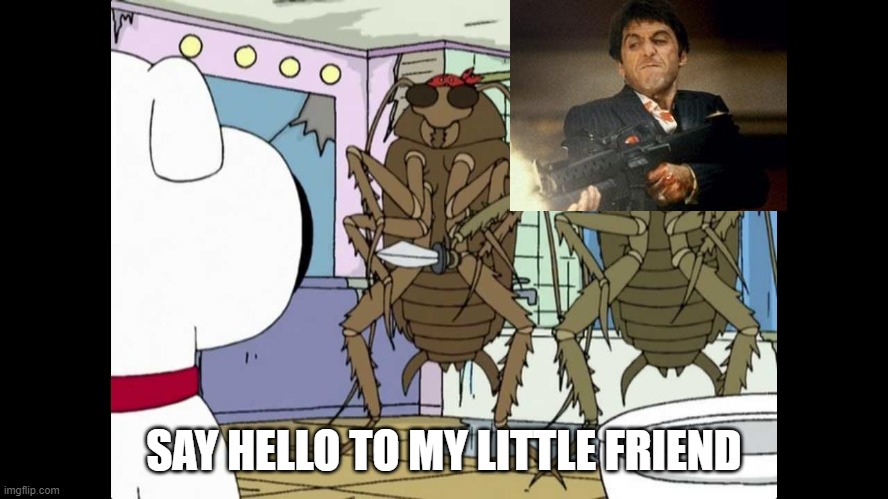 Bad Roaches | SAY HELLO TO MY LITTLE FRIEND | image tagged in bad roaches | made w/ Imgflip meme maker