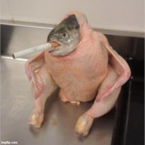 fish in a chicken | image tagged in memes,funny memes | made w/ Imgflip meme maker