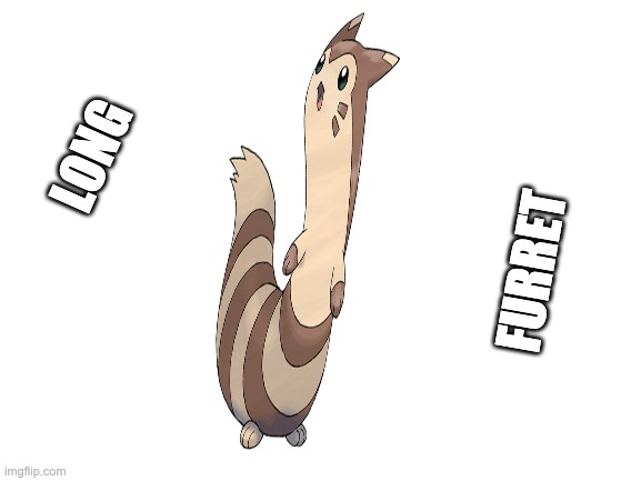 Blank White Template | LONG; FURRET | image tagged in blank white template | made w/ Imgflip meme maker