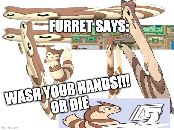 Blank White Template | FURRET SAYS:; WASH YOUR HANDS!!!
OR DIE | image tagged in blank white template | made w/ Imgflip meme maker
