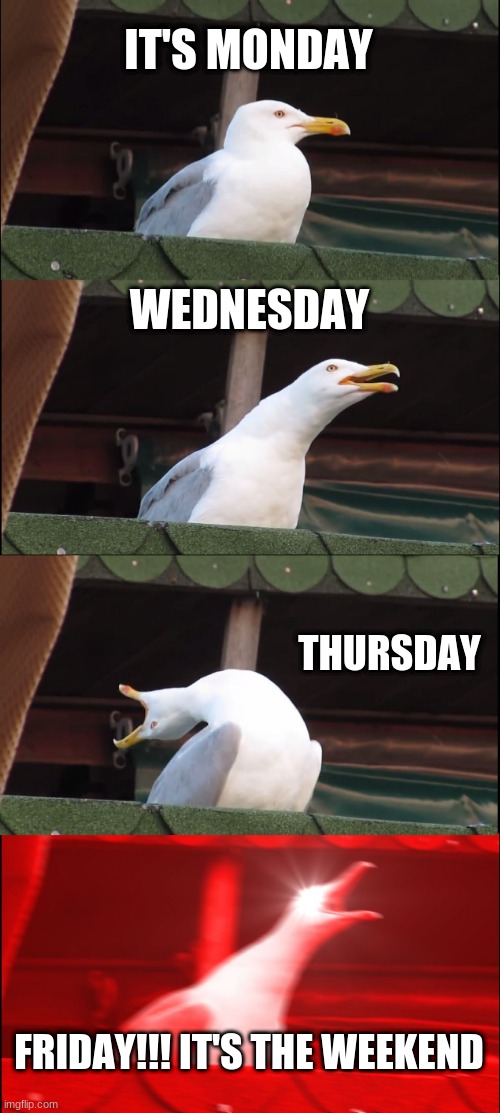 Inhaling Seagull | IT'S MONDAY; WEDNESDAY; THURSDAY; FRIDAY!!! IT'S THE WEEKEND | image tagged in memes,inhaling seagull | made w/ Imgflip meme maker