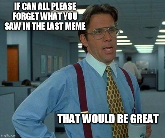 That Would Be Great Meme | IF CAN ALL PLEASE FORGET WHAT YOU SAW IN THE LAST MEME; THAT WOULD BE GREAT | image tagged in memes,that would be great | made w/ Imgflip meme maker