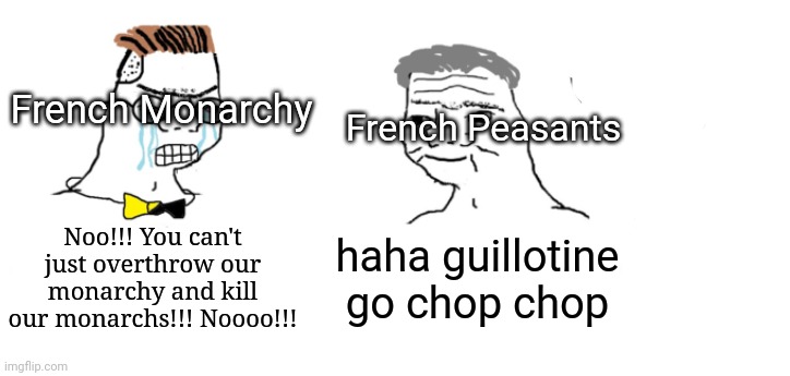 Haha money printer go brrr | French Peasants; French Monarchy; Noo!!! You can't just overthrow our monarchy and kill our monarchs!!! Noooo!!! haha guillotine go chop chop | image tagged in haha money printer go brrr | made w/ Imgflip meme maker