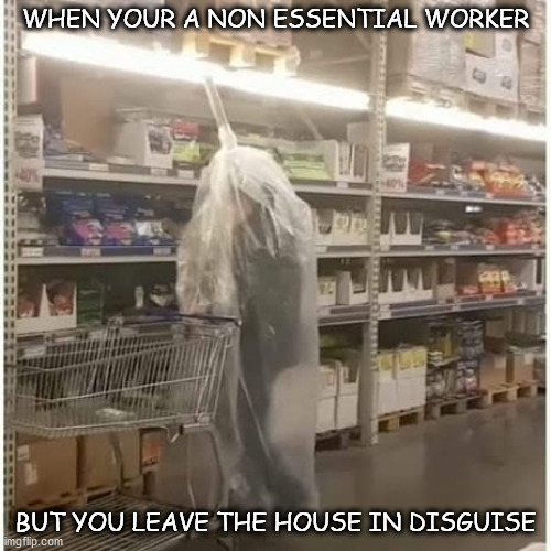 walmart | WHEN YOUR A NON ESSENTIAL WORKER; BUT YOU LEAVE THE HOUSE IN DISGUISE | image tagged in first world problems | made w/ Imgflip meme maker