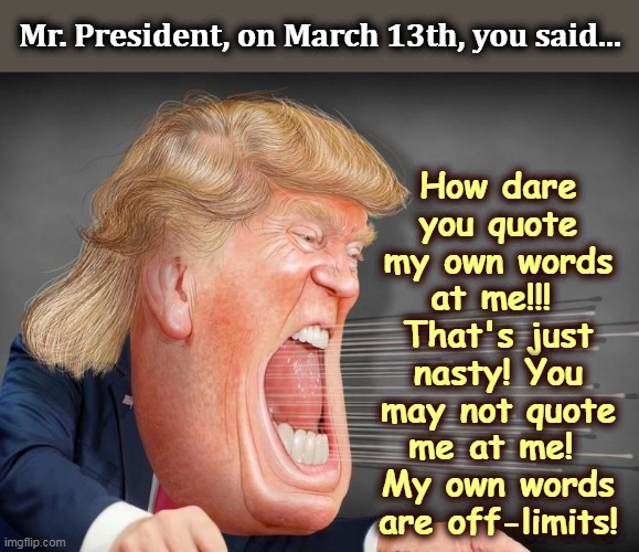 Be quiet, O daughter of African-Americans! | How dare you quote my own words at me!!! 
That's just nasty! You may not quote me at me! 
My own words are off-limits! Mr. President, on March 13th, you said... | image tagged in trump,press conference,rage,anger,abuse | made w/ Imgflip meme maker