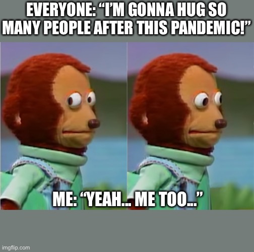 puppet Monkey looking away | EVERYONE: “I’M GONNA HUG SO MANY PEOPLE AFTER THIS PANDEMIC!”; ME: “YEAH... ME TOO...” | image tagged in puppet monkey looking away | made w/ Imgflip meme maker