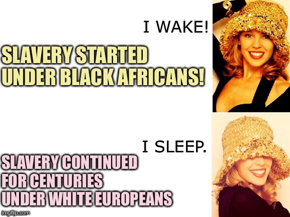 The fact that black Africans participated in the slave trade doesn't nullify the fact slavery was racist in the New World. | SLAVERY STARTED UNDER BLACK AFRICANS! SLAVERY CONTINUED FOR CENTURIES UNDER WHITE EUROPEANS | image tagged in kylie i wake/i sleep,slavery,racism,slaves,slave,racist | made w/ Imgflip meme maker