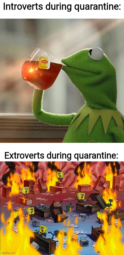 Introverts during quarantine:; Extroverts during quarantine: | image tagged in memes,but thats none of my business,spongebob fire | made w/ Imgflip meme maker