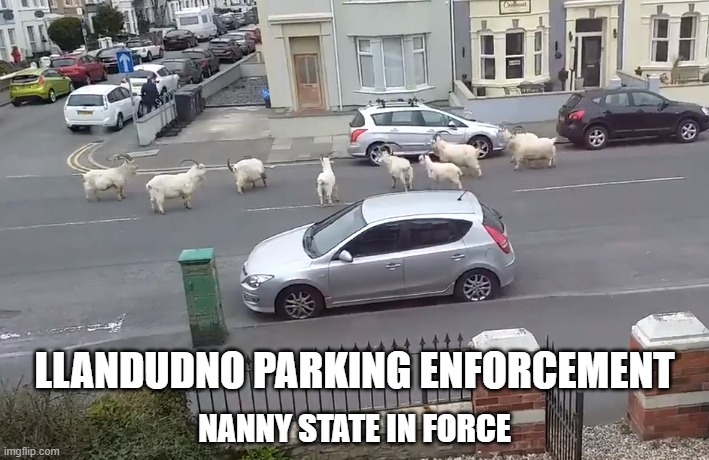 Llandudno Parking Enforcement (Nanny State) | LLANDUDNO PARKING ENFORCEMENT; NANNY STATE IN FORCE | image tagged in llandudno,wales,uk,goat,billy,nanny | made w/ Imgflip meme maker