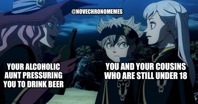 @NOVECHRONOMEMES; YOU AND YOUR COUSINS WHO ARE STILL UNDER 18; YOUR ALCOHOLIC AUNT PRESSURING YOU TO DRINK BEER | image tagged in aunt,alcoholic,kids | made w/ Imgflip meme maker