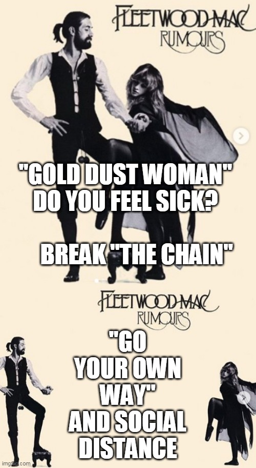 I heard a RUMOR you felt sick | "GOLD DUST WOMAN" DO YOU FEEL SICK?                       BREAK "THE CHAIN"; "GO YOUR OWN WAY" AND SOCIAL DISTANCE | image tagged in fleetwood mac,covid-19,social distancing,feel sick,break the chain,go your own way | made w/ Imgflip meme maker