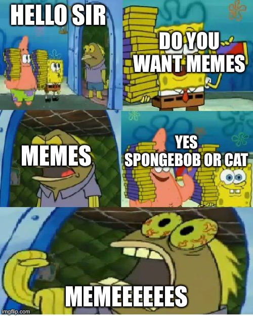 Chocolate Spongebob | DO YOU WANT MEMES; HELLO SIR; YES SPONGEBOB OR CAT; MEMES; MEMEEEEEES | image tagged in memes,chocolate spongebob | made w/ Imgflip meme maker